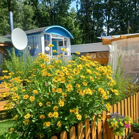 Cottage-irina